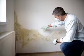 Best HVAC Mold Inspection and Cleaning  in Cloverdale, CA